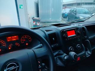 OPEL Movano usata, con Frenata d