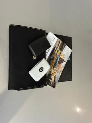 RENAULT Scenic usata, con Cruise Control