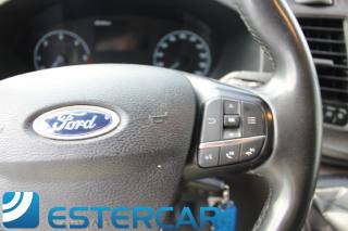 FORD Transit usata 13