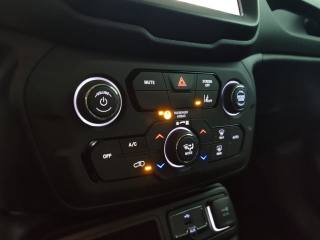 JEEP Renegade usata, con Vetri oscurati