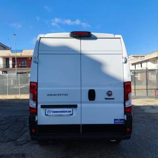 FIAT  usata 3