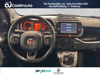 FIAT Panda Cross usata, con Controllo trazione