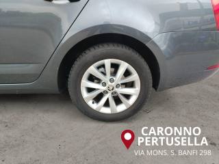 SKODA Octavia usata, con Park Distance Control