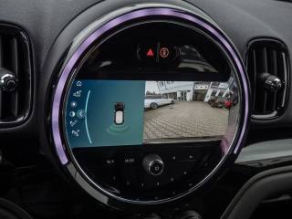 MINI Countryman usata, con Cronologia tagliandi