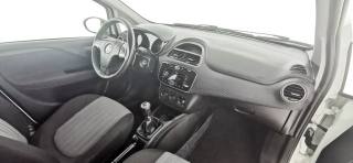 FIAT Punto usata 50