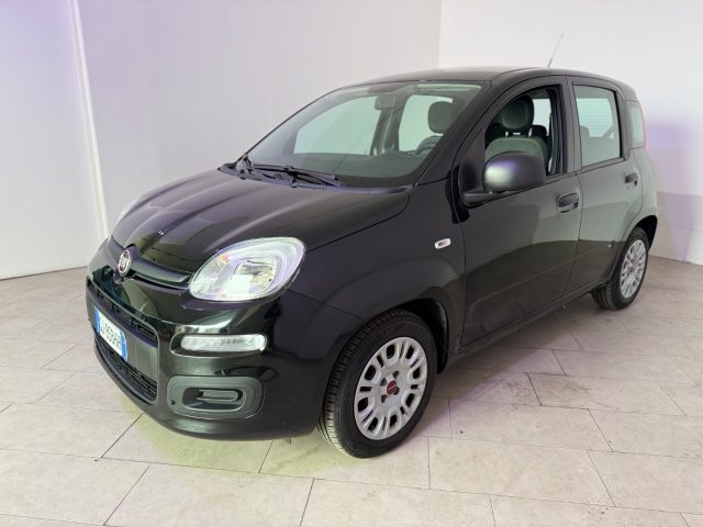 FIAT Panda usata 15