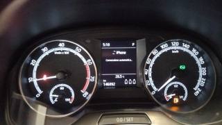 SKODA Fabia usata 24