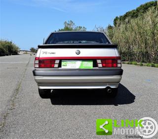 ALFA ROMEO 75 usata 5