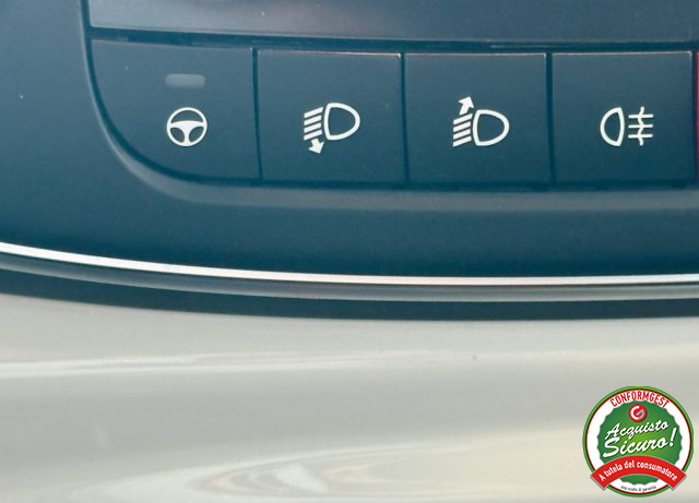 FIAT 500L usata, con Cronologia tagliandi