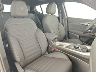 ALFA ROMEO Tonale usata, con Bracciolo