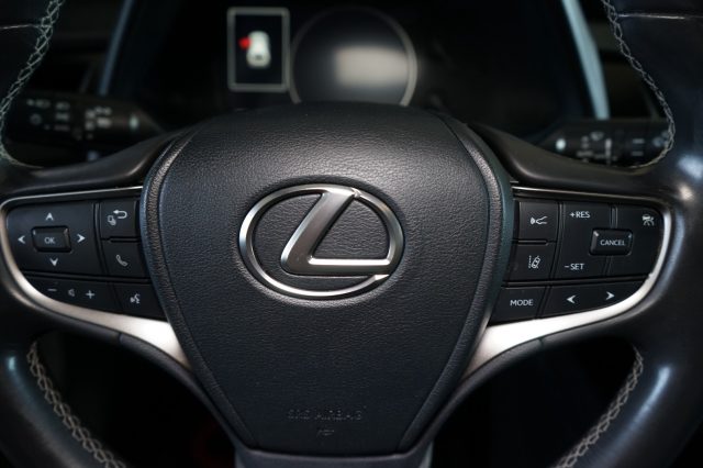 LEXUS UX 250h usata, con Autoradio digitale