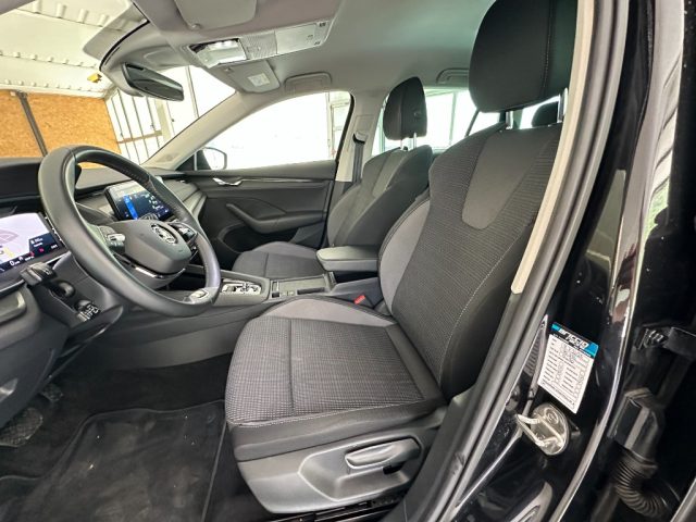 SKODA Octavia usata, con Fendinebbia
