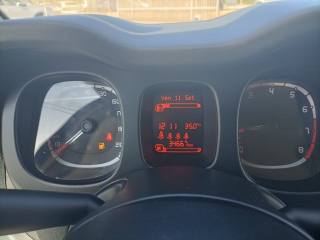 FIAT Panda usata 12