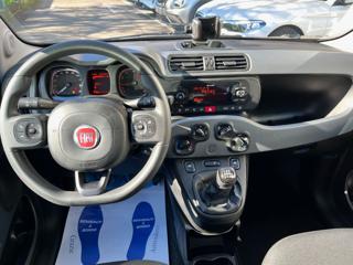 FIAT Panda Cross usata, con Controllo trazione