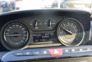 LANCIA Ypsilon usata, con Fendinebbia