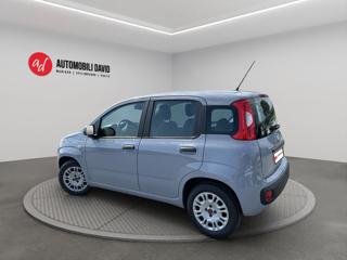FIAT Panda usata, con Airbag Passeggero