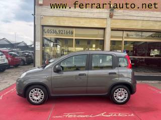 FIAT Panda usata, con Antifurto