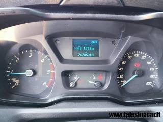 FORD  usata 10