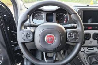 FIAT Panda Cross usata, con Climatizzatore