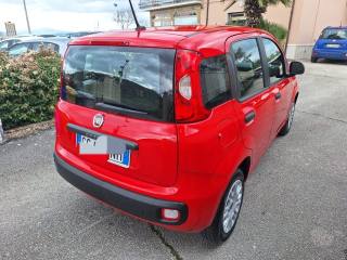 FIAT Panda usata, con Airbag Passeggero