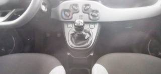 FIAT Panda usata, con Servosterzo