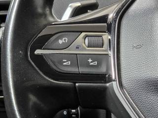 PEUGEOT 3008 usata 29