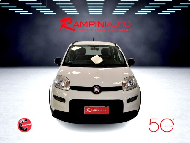 FIAT Panda usata 2