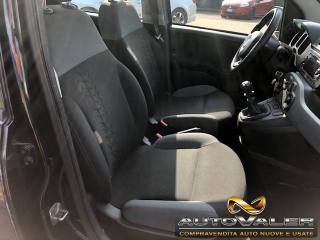 FIAT Panda usata, con Chiusura centralizzata