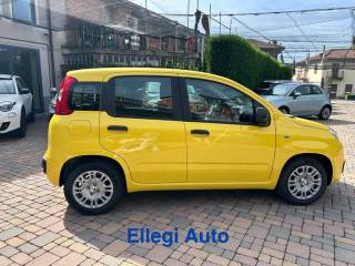 FIAT Pandina usata, con Chiusura centralizzata