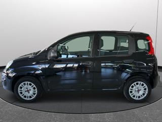 FIAT Panda usata 18