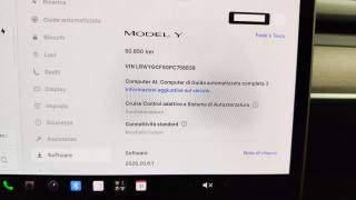 TESLA Model Y usata, con Cronologia tagliandi