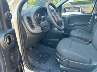FIAT Panda usata, con Controllo elettronico della corsia