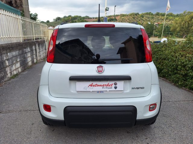 FIAT Panda usata, con Fendinebbia