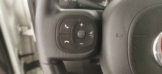 FIAT Panda usata 42