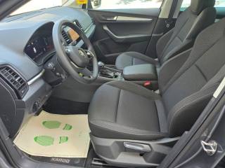 SKODA Karoq usata, con Cronologia tagliandi