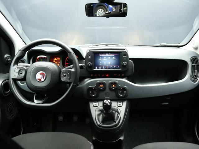 FIAT Panda Cross usata, con Fendinebbia