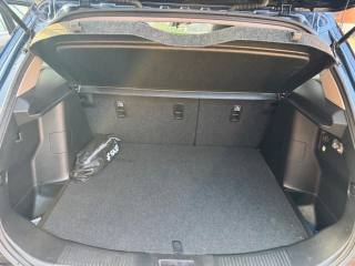 SUZUKI S-Cross usata, con Controllo vocale