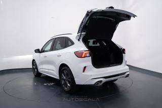 FORD Kuga usata, con Sensore di pioggia