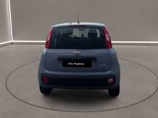 FIAT Panda usata, con Climatizzatore