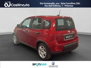 FIAT Panda usata, con Airbag laterali