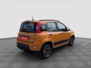 FIAT Panda usata 4