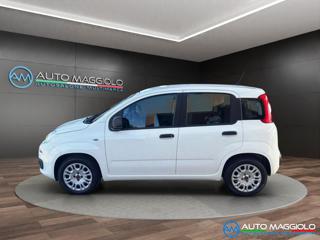 FIAT Panda usata, con Climatizzatore