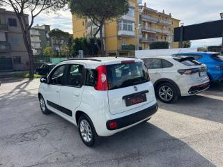 FIAT Panda usata, con Alzacristalli elettrici