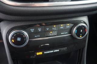 FORD Puma usata, con Fendinebbia