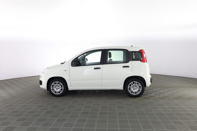 FIAT Panda usata 5