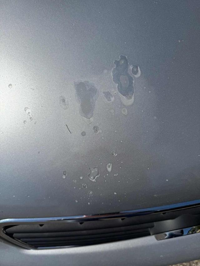 AUDI A4 usata, con Climatizzatore