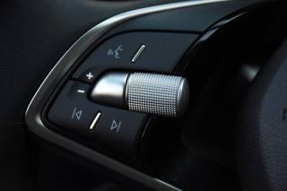 SKODA Karoq usata, con Volante in pelle