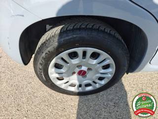FIAT Panda usata, con Chiusura centralizzata telecomandata