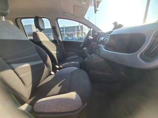 FIAT Panda usata, con Vivavoce