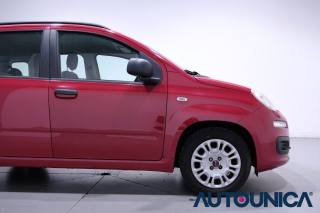 FIAT Panda usata 48